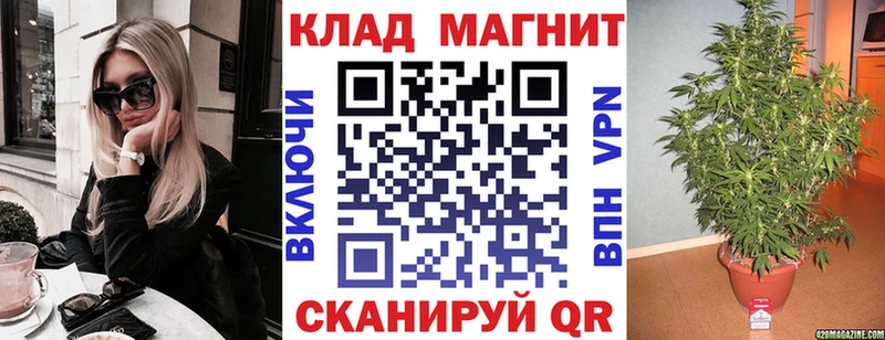 Магазины продажи наркотиков Устюжна Кокаин  Меф мяу мяу  ГАШ  А ПВП  Кодеин  МАРИХУАНА 