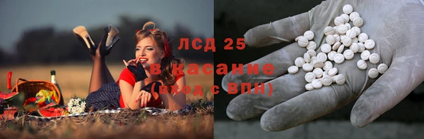 ГАЛЛЮЦИНОГЕННЫЕ ГРИБЫ Алексеевка