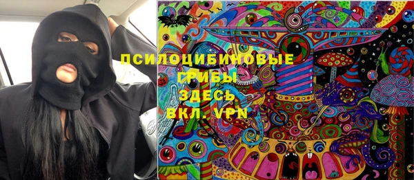 ГАЛЛЮЦИНОГЕННЫЕ ГРИБЫ Алексеевка