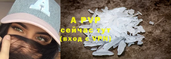 крисы Алзамай