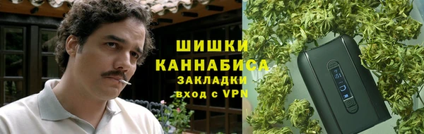 ГАЛЛЮЦИНОГЕННЫЕ ГРИБЫ Алексеевка